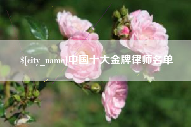 六安中国十大金牌律师名单
