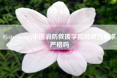 六安中国消防救援学院对视力要求严格吗