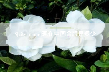 六安现在中国金牌是多少