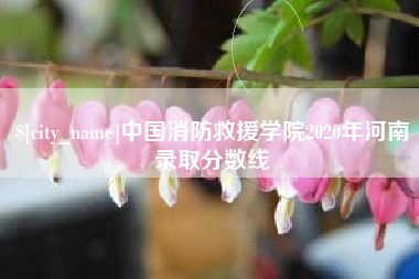 六安中国消防救援学院2020年河南录取分数线