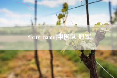 六安中国队 冠军