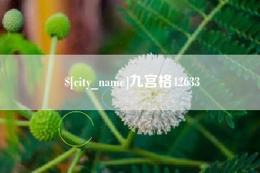 六安九宫格42633