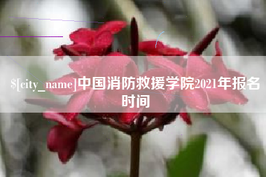 六安中国消防救援学院2021年报名时间