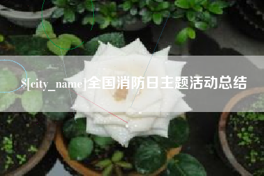 六安全国消防日主题活动总结