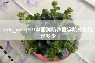 六安2021中国消防救援学院分数线是多少