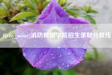 六安消防救援学院招生录取分数线
