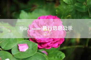 六安执行信息公示