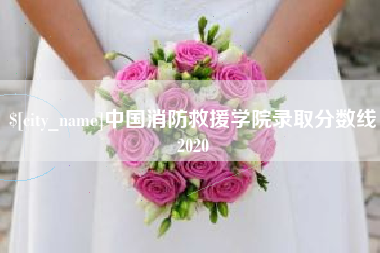 六安中国消防救援学院录取分数线2020
