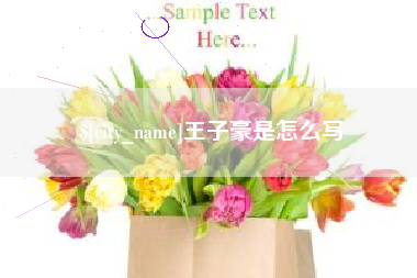 六安王子豪是怎么写