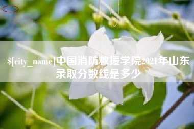 六安中国消防救援学院2021年山东录取分数线是多少