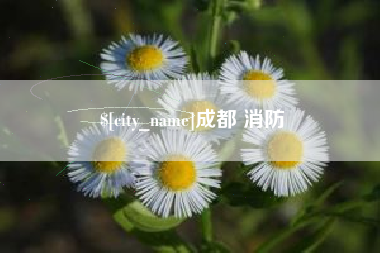 六安成都 消防