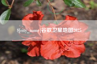 六安谷歌卫星地图2025