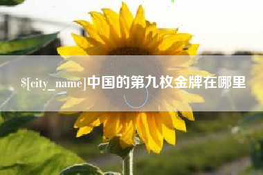 六安中国的第九枚金牌在哪里