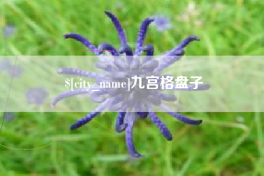 六安九宫格盘子