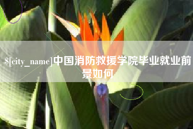 六安中国消防救援学院毕业就业前景如何