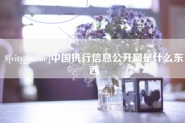 六安中国执行信息公开网是什么东西