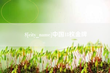 六安中国18枚金牌