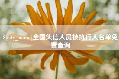 六安全国失信人员被执行人名单免费查询