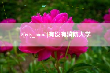 六安有没有消防大学