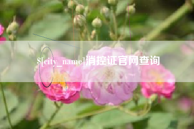 六安消控证官网查询