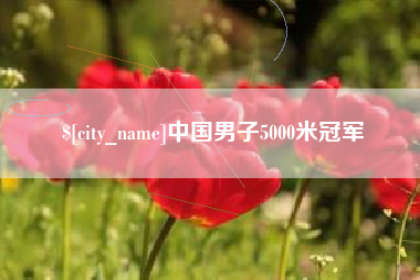 六安中国男子5000米冠军