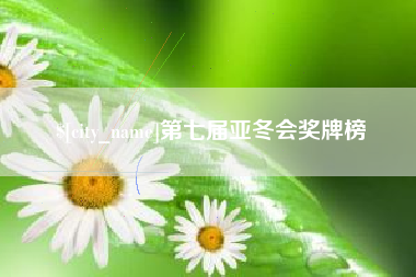 六安第七届亚冬会奖牌榜