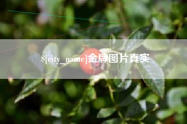 六安金牌图片真实