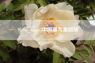 六安中国第九金回放