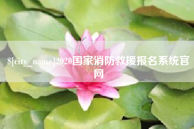 六安2020国家消防救援报名系统官网