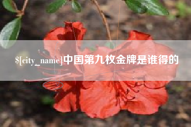 六安中国第九枚金牌是谁得的