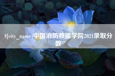 六安中国消防救援学院2021录取分数