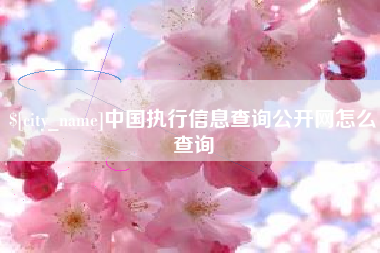 六安中国执行信息查询公开网怎么查询