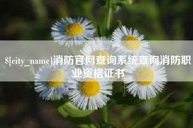 六安消防官网查询系统查询消防职业资格证书