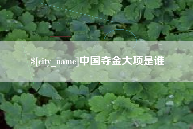 六安中国夺金大项是谁