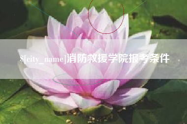 六安消防救援学院报考条件