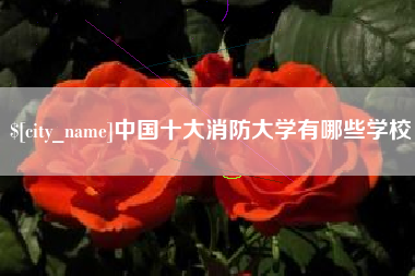 六安中国十大消防大学有哪些学校