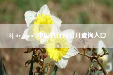 六安中国执行网公开查询入口