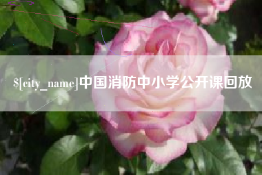 六安中国消防中小学公开课回放