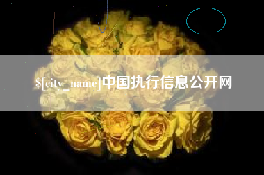六安中国执行信息公开网