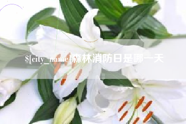 六安森林消防日是哪一天