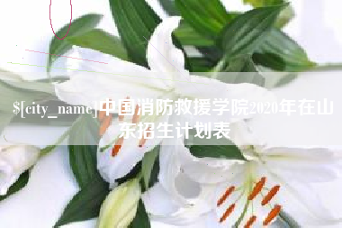 六安中国消防救援学院2020年在山东招生计划表