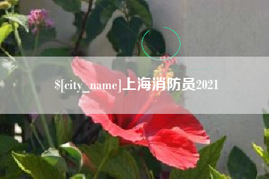 六安上海消防员2021