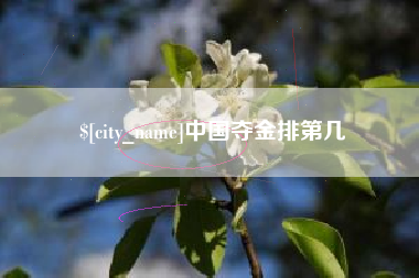 六安中国夺金排第几
