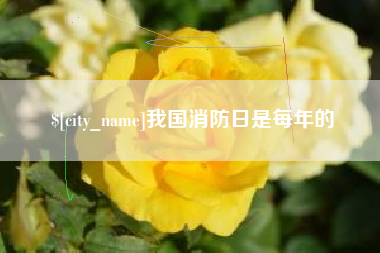 六安我国消防日是每年的