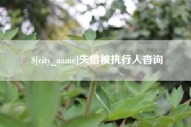 六安失信被执行人杳询