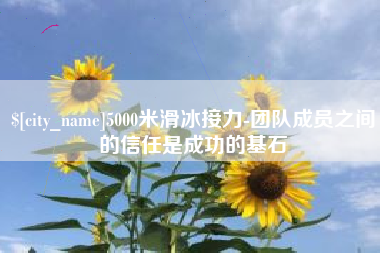 六安5000米滑冰接力-团队成员之间的信任是成功的基石