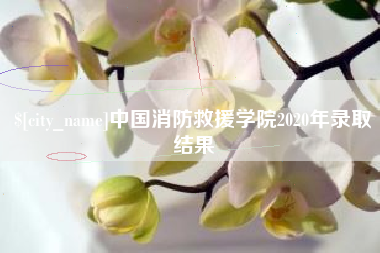 六安中国消防救援学院2020年录取结果