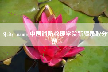 六安中国消防救援学院新疆录取分数