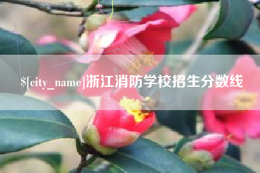 六安浙江消防学校招生分数线