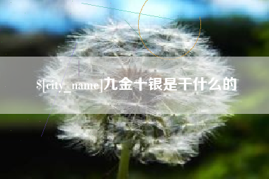六安九金十银是干什么的